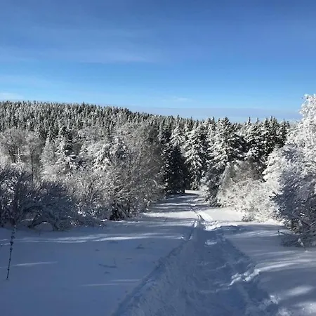 Duplex Renove 3 Pieces, 6 Pers., Lumineux, Mont-dore - Fr-1-608-30 * Le Mont-Dore