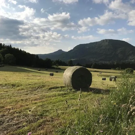 Duplex Renove 3 Pieces, 6 Pers., Lumineux, Mont-dore - Fr-1-608-30