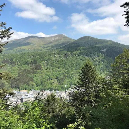 Διαμέρισμα Duplex Renove 3 Pieces, 6 Pers., Lumineux, Mont-dore - Fr-1-608-30 Le Mont-Dore