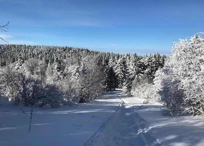 Duplex Renove 3 Pieces, 6 Pers., Lumineux, Mont-dore - Fr-1-608-30 * Le Mont-Dore