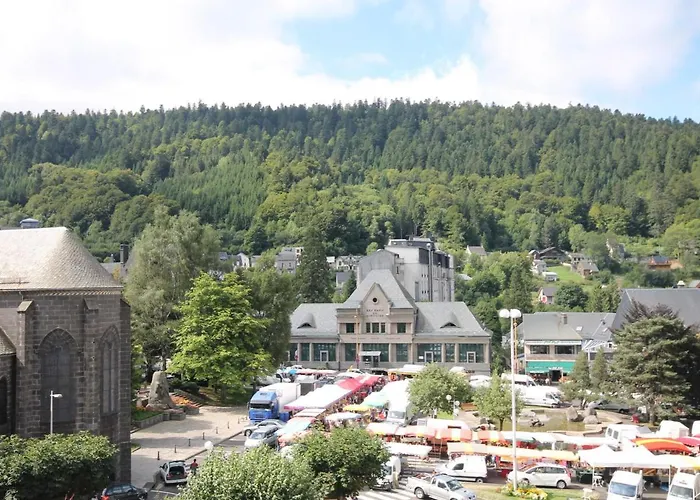 Duplex Renove 3 Pieces, 6 Pers., Lumineux, Mont-dore - Fr-1-608-30 * 르몽도레