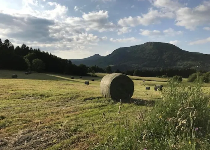 Duplex Renove 3 Pieces, 6 Pers., Lumineux, Mont-dore - Fr-1-608-30